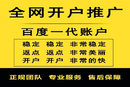 某知名品牌SEM运营策略及效果评估